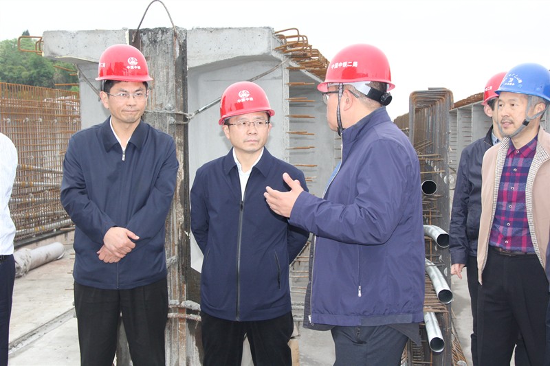 3-省交通运输厅领导莅临成资渝TJ2项目检查指导工作_副本.jpg